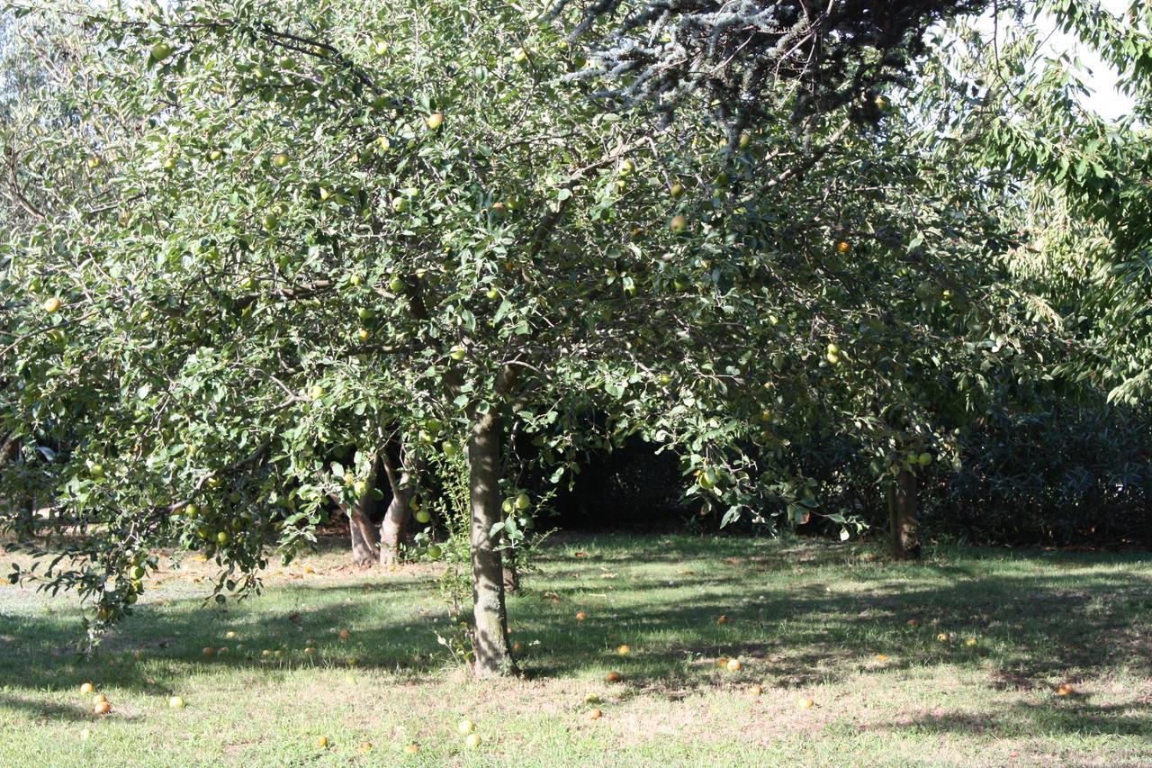 La Villa Blanc (Adults Only) Conques-sur-Orbiel Exterior foto